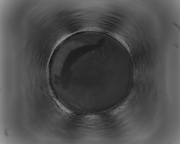 X0000097801037200803281030