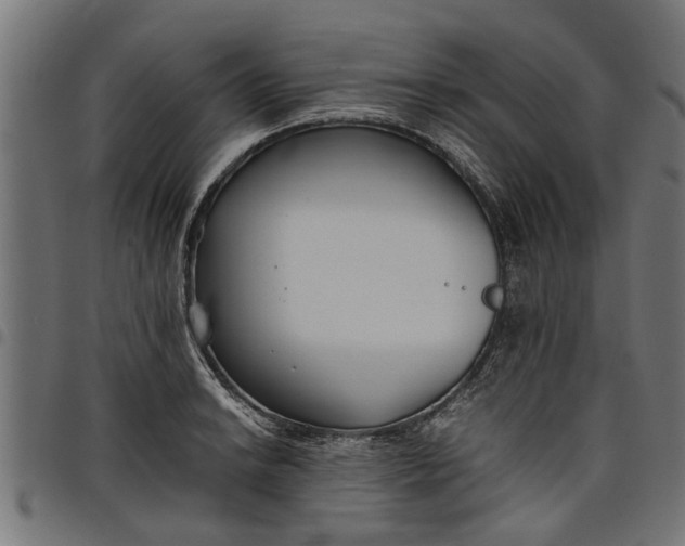 X0000097801038200803281030