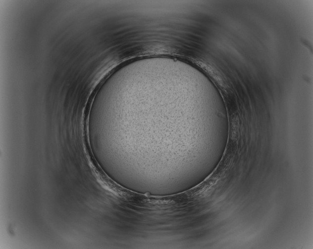 X0000097801039200803281030