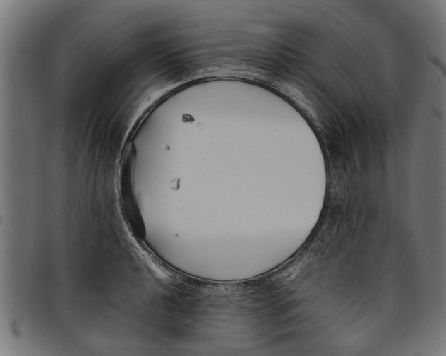 X0000097801040200803281030