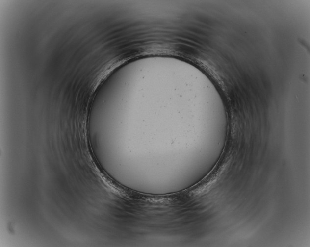 X0000097801041200803281030