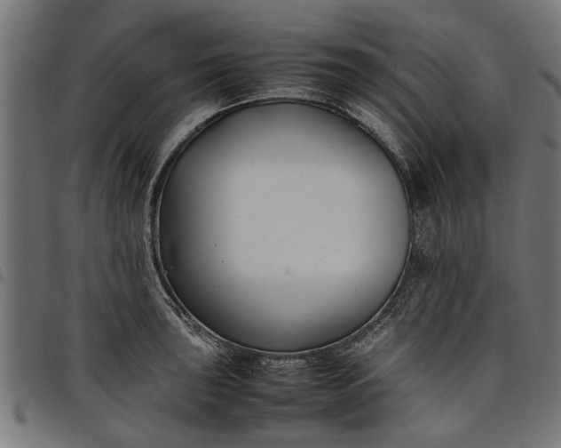 X0000097801043200803281030