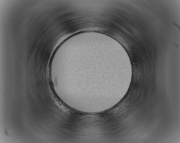 X0000097801044200803281030