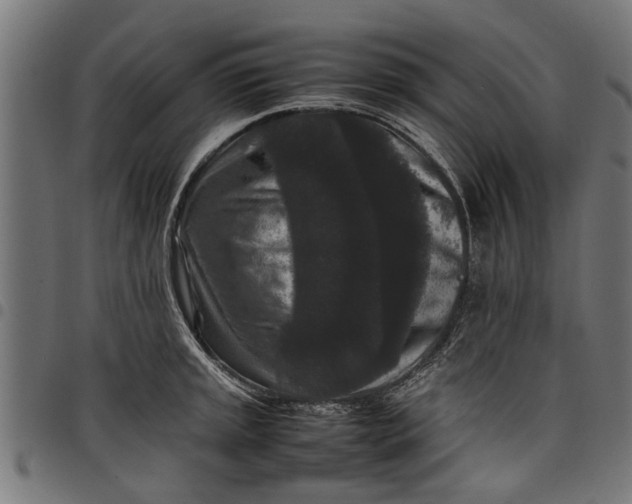 X0000097801045200803281030