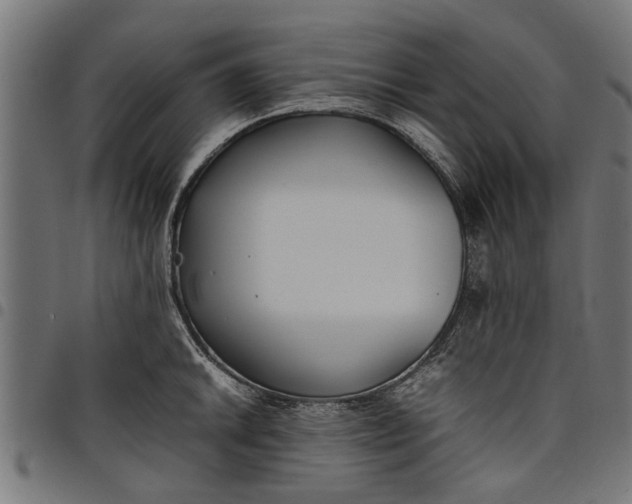 X0000097801046200803281030