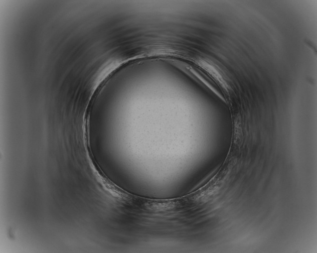 X0000097801047200803281030