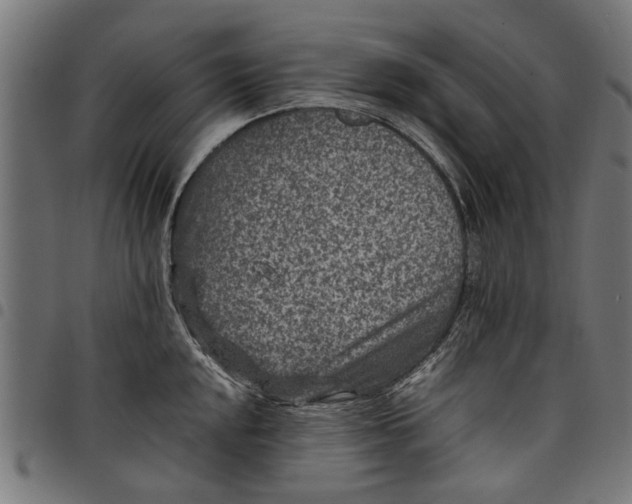 X0000097801048200803281031