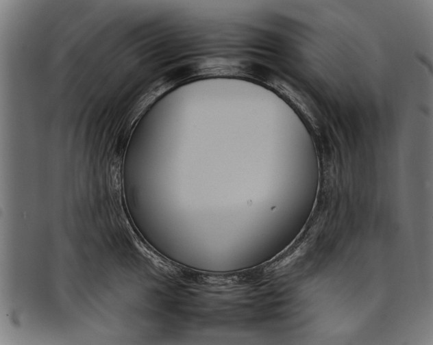 X0000097801049200803281031