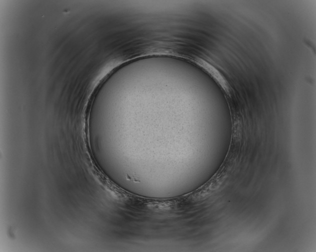 X0000097801051200803281031