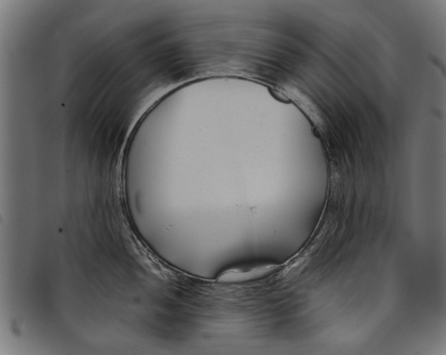 X0000097801052200803281031