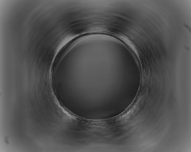 X0000097801053200803281031