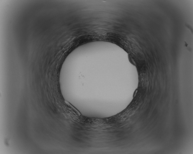 X0000097801057200803281030