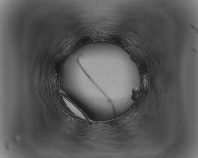 X0000097801059200803281030