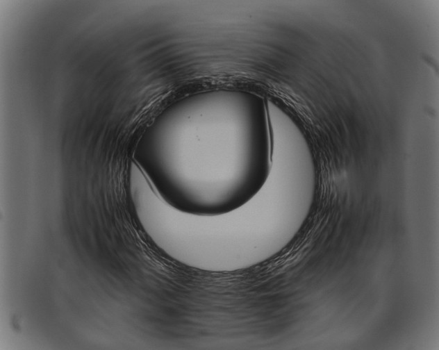 X0000097801060200803281030