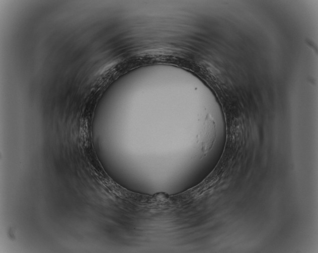 X0000097801062200803281030