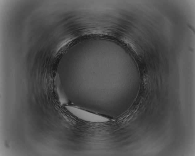 X0000097801064200803281030