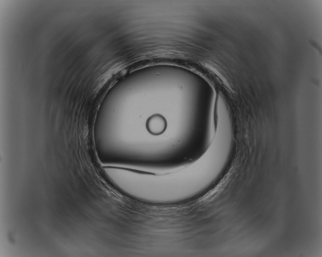 X0000097801065200803281030