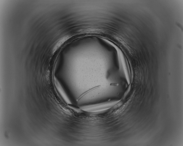 X0000097801066200803281030