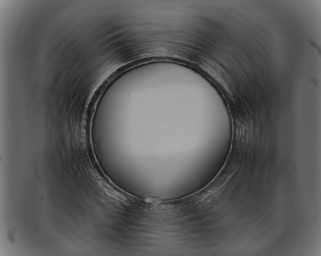 X0000097801068200803281030