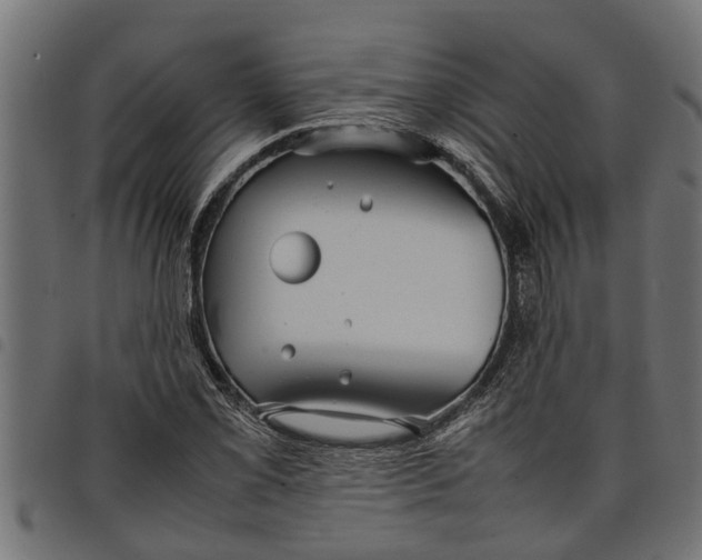 X0000097801069200803281030