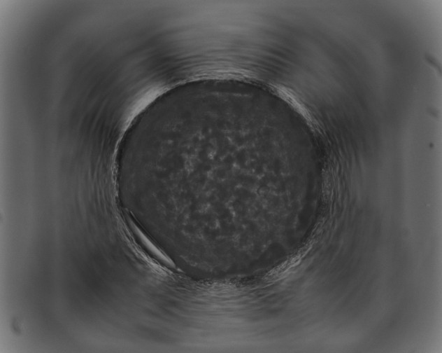 X0000097801071200803281030