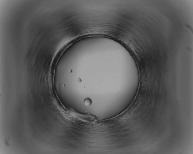 X0000097801072200803281030