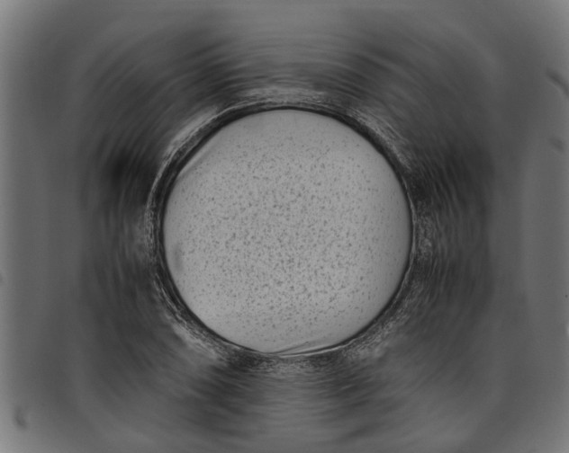 X0000097801074200803281030