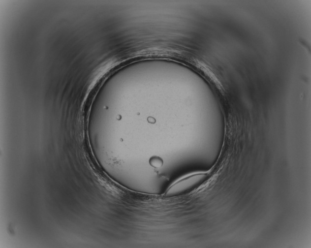 X0000097801075200803281030