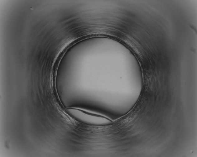 X0000097801076200803281030