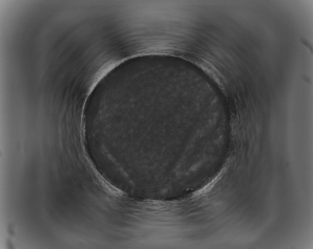 X0000097801077200803281030