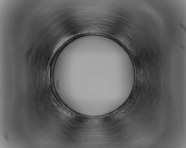 X0000097801078200803281029