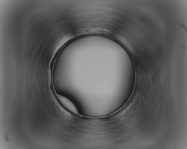 X0000097801079200803281029