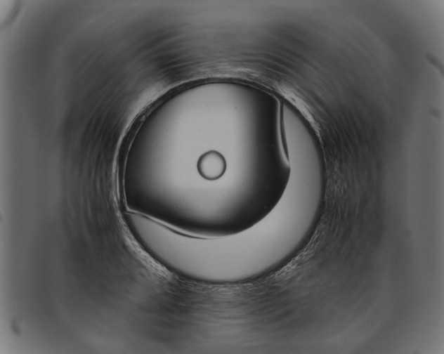 X0000097801080200803281029