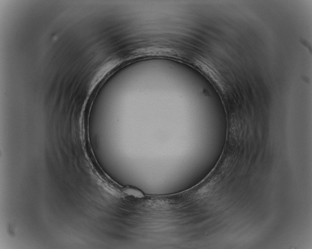 X0000097801082200803281029