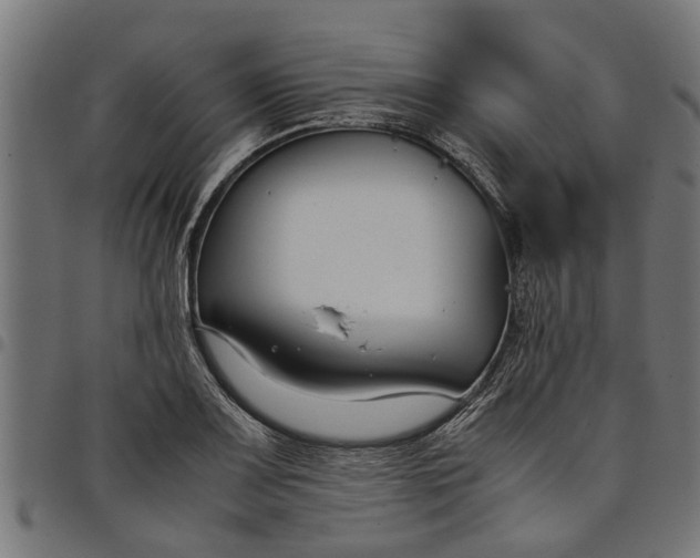 X0000097801083200803281029