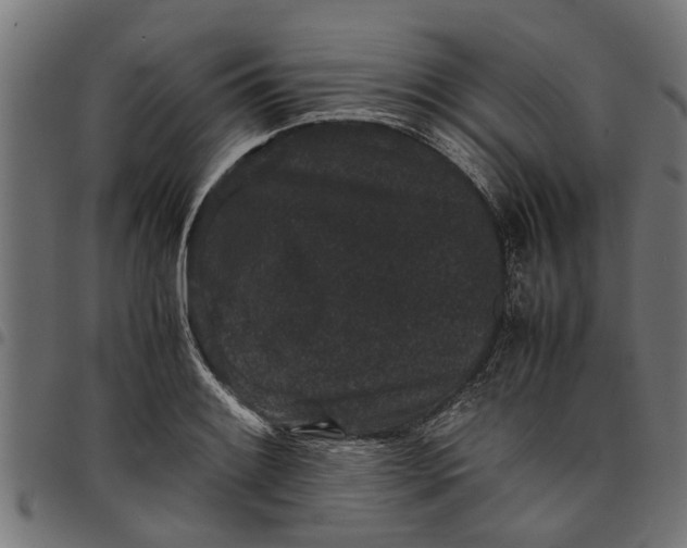 X0000097801084200803281029