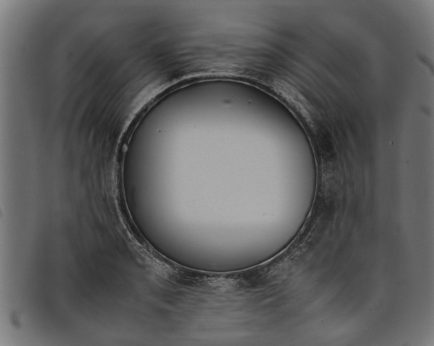 X0000097801085200803281029