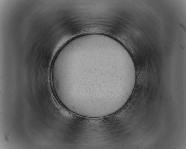 X0000097801086200803281029