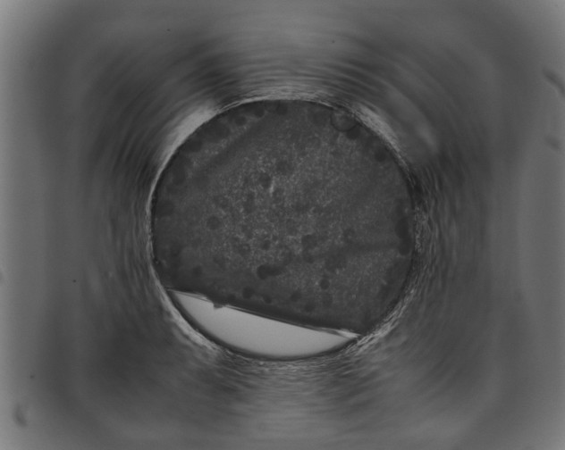 X0000097801087200803281029