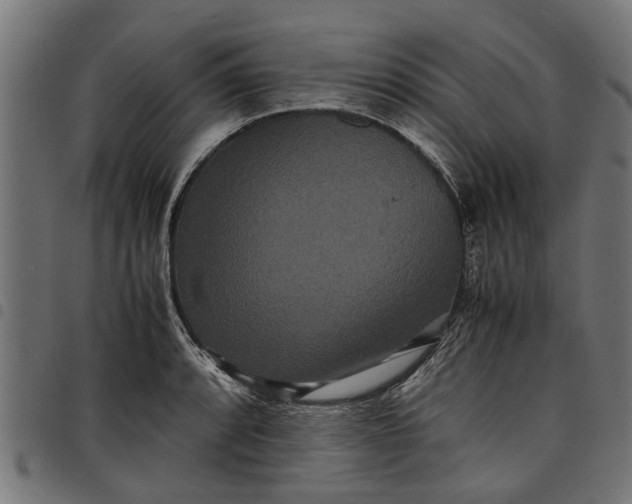 X0000097801088200803281029