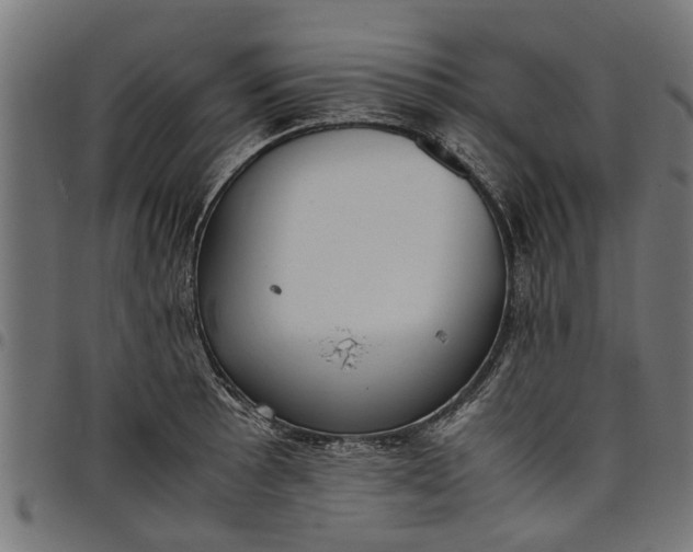 X0000097801089200803281029