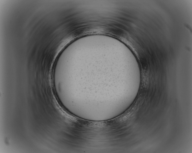 X0000097801090200803281029