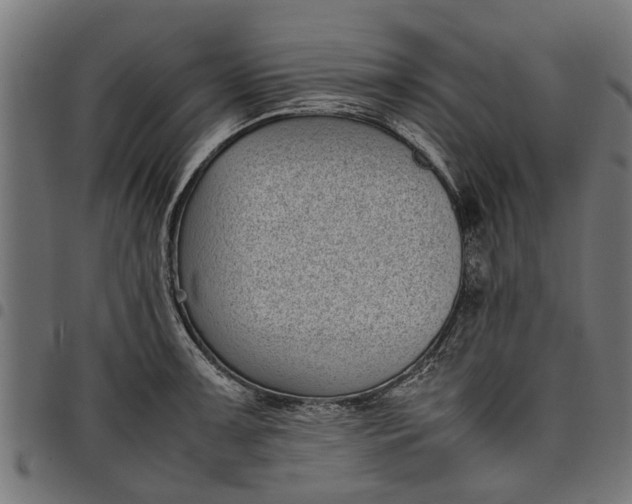 X0000097801091200803281029