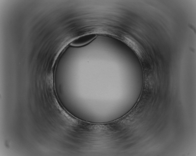 X0000097801092200803281029