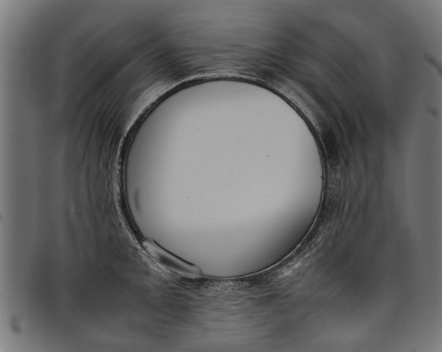 X0000097801093200803281029