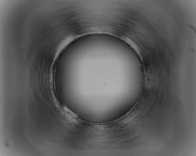 X0000097801096200803281029