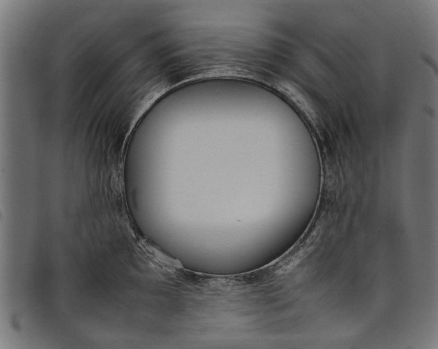 X0000097801097200803281029