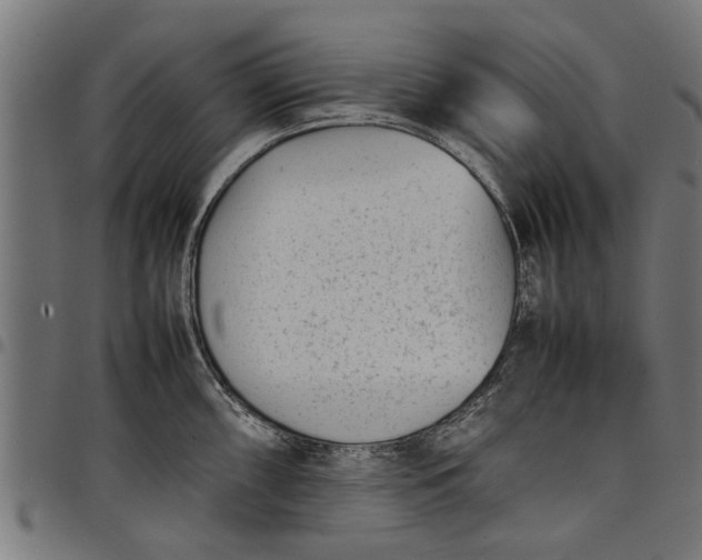 X0000097801098200803281029