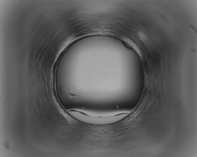 X0000097801099200803281029