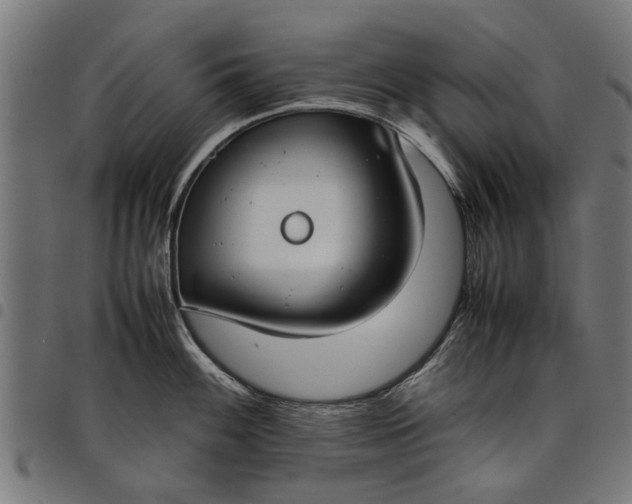 X0000097801100200803281029